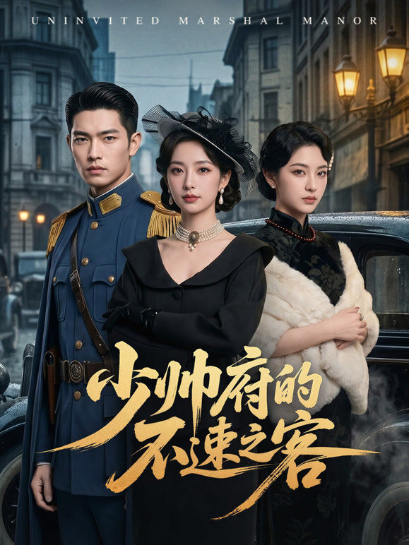 少帅府的不速之客