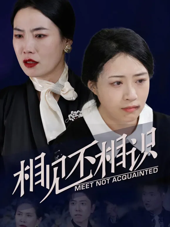 相见不相识1短剧海报