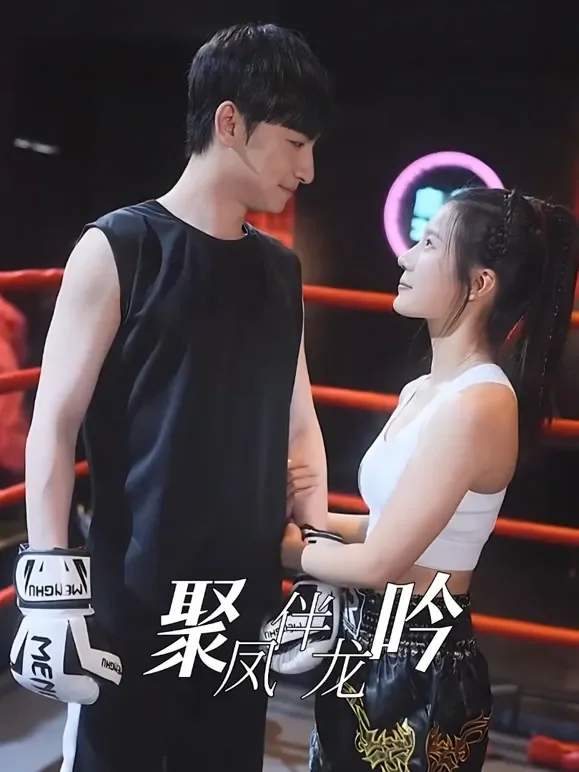 聚凤伴龙吟短剧海报