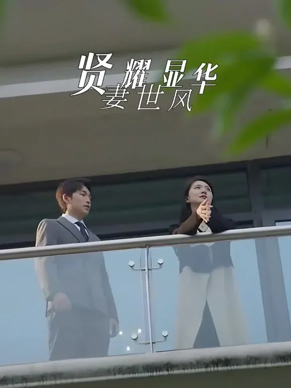 贤妻耀世显风华短剧海报