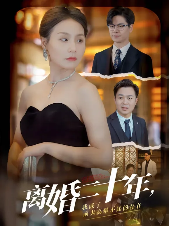 离婚二十年，我成了前夫高攀不起的存在短剧海报