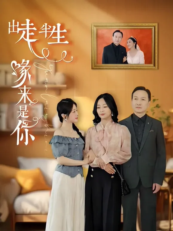 出走半生缘来是你短剧海报