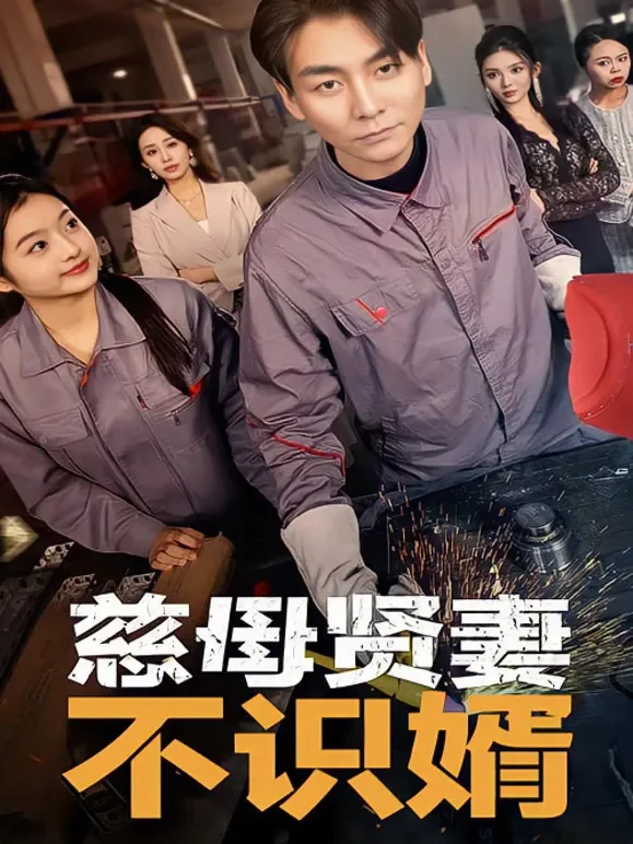 慈母贤妻不识婿短剧海报