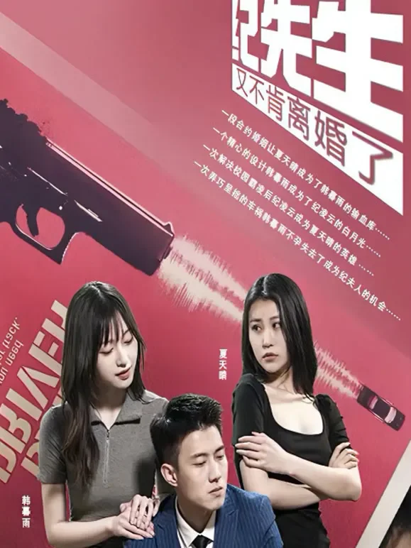 纪先生又不肯离婚了短剧海报