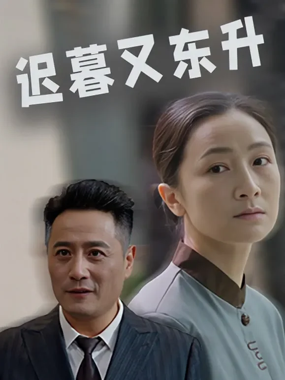 迟暮又东升短剧海报