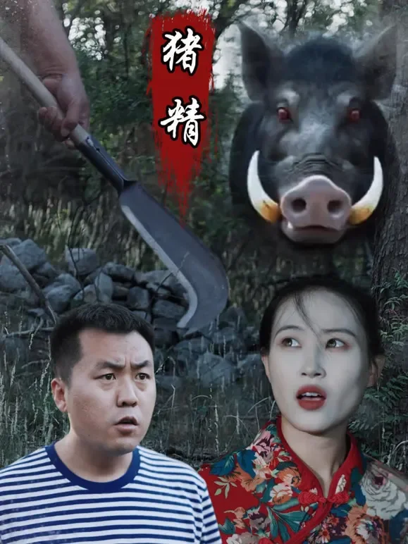 猪精短剧海报