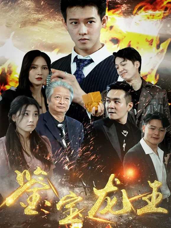 鉴宝龙王短剧海报