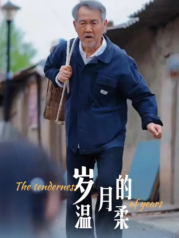 岁月的温柔短剧海报