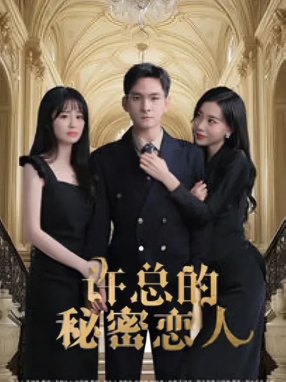 许总的秘密恋人短剧海报