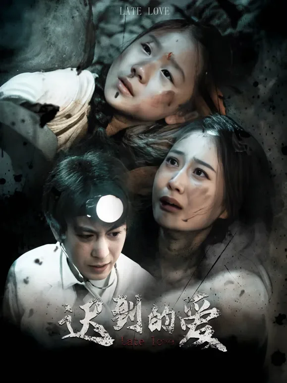 迟到的爱短剧海报