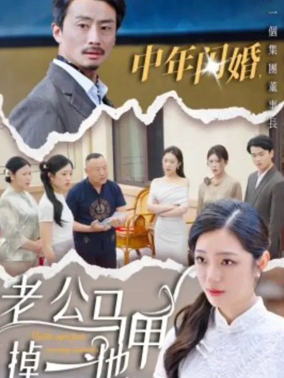 中年闪婚，老公马甲掉一地短剧海报