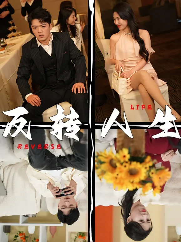 反转人生1短剧海报
