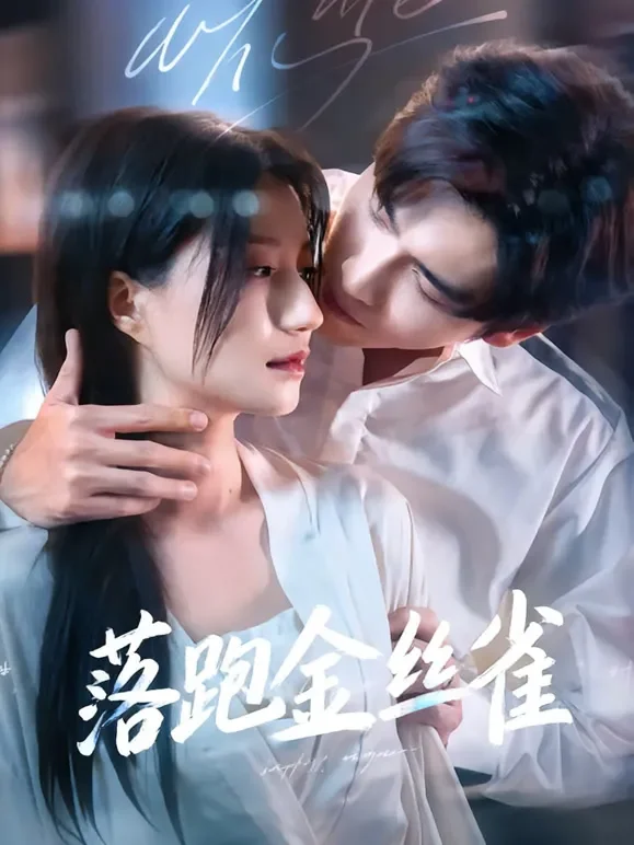 落跑金丝雀短剧海报