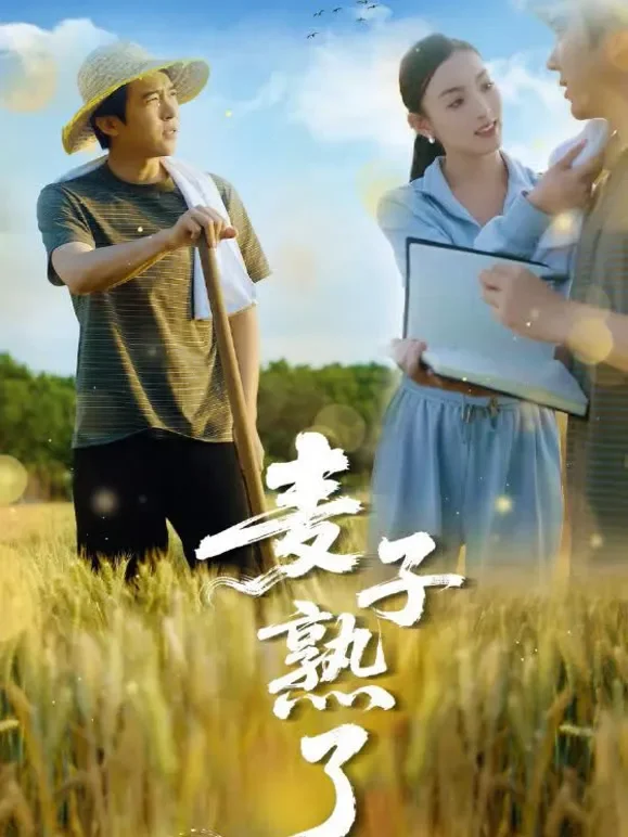 麦子熟了短剧海报