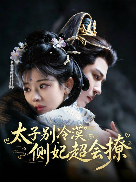 太子别冷漠侧妃超会撩