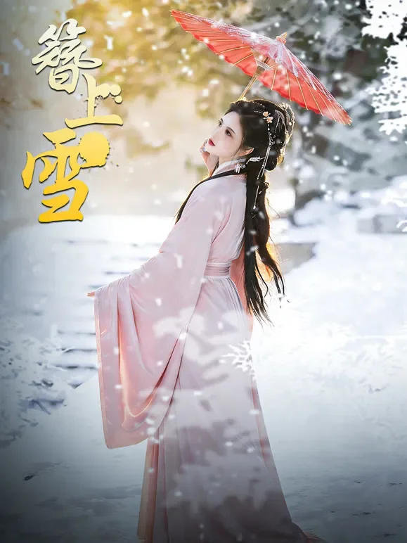 簪上雪短剧海报