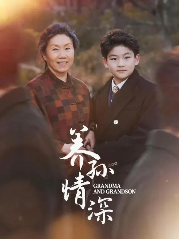 养孙情深短剧海报