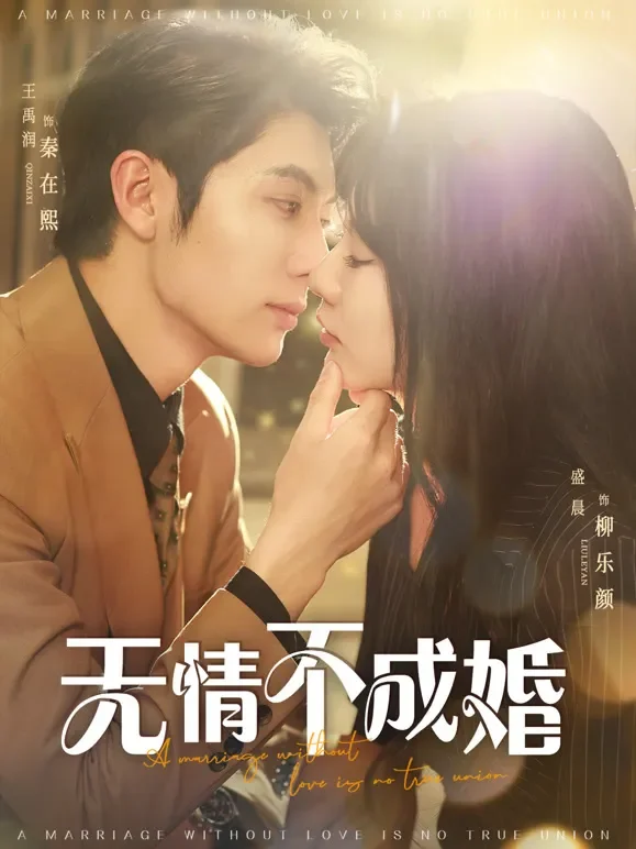无情不成婚短剧海报