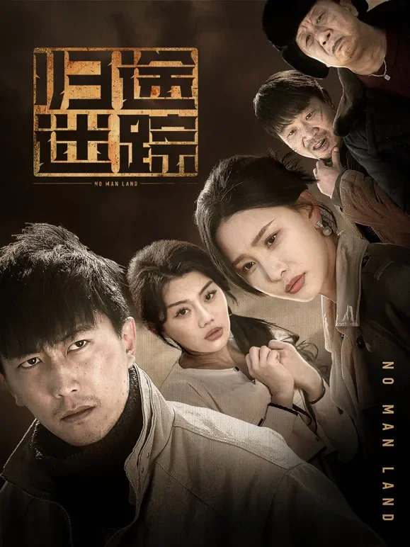 归途迷踪短剧海报