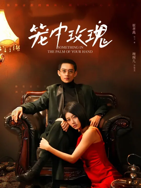笼中玫瑰短剧海报