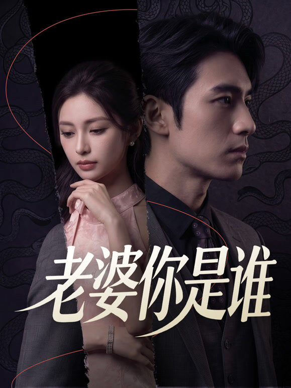 老婆你是谁