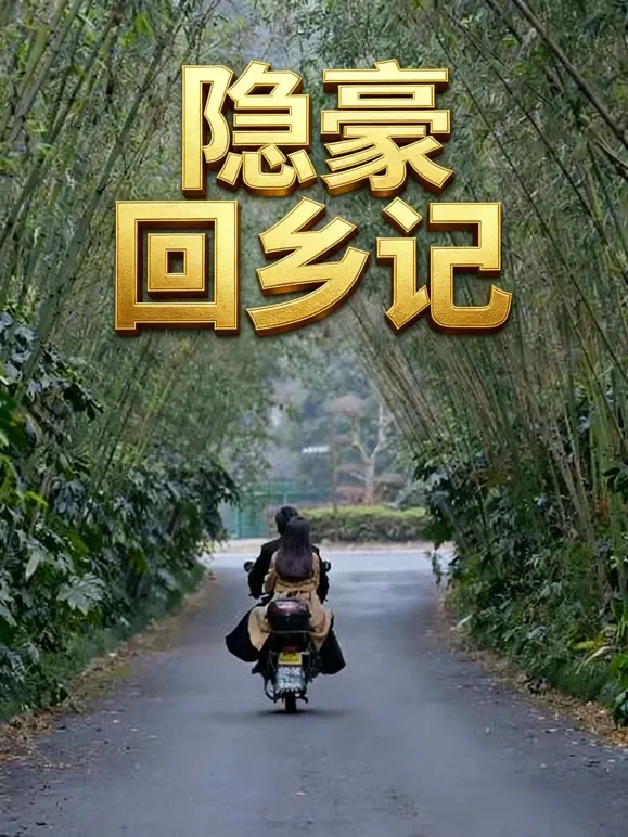 隐豪回乡记短剧海报
