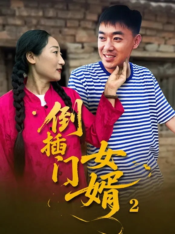倒插门女婿2短剧海报