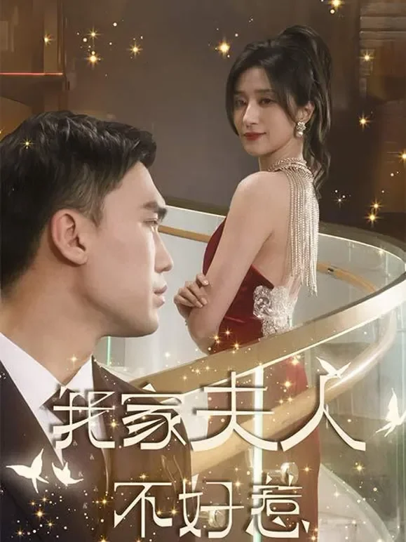 我家夫人不好惹短剧海报