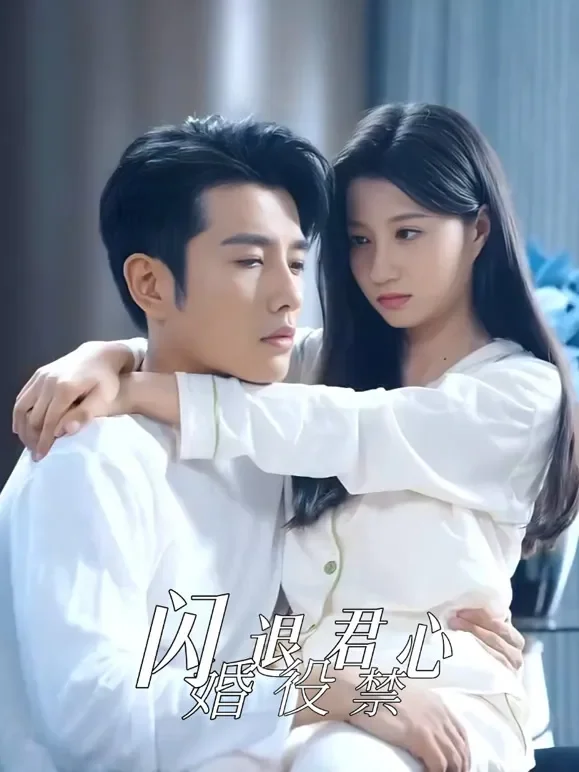 闪婚退役君禁心短剧海报