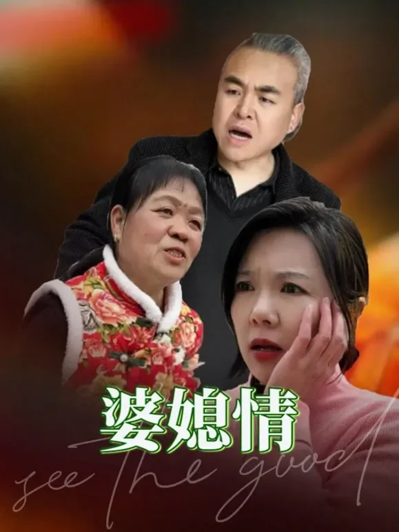 婆媳情短剧海报
