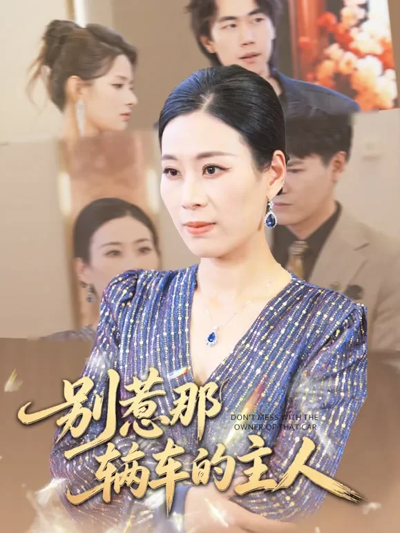 别惹那辆车的主人短剧海报