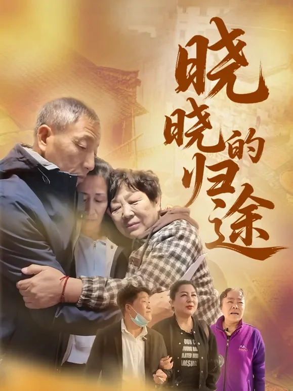晓晓的归途短剧海报