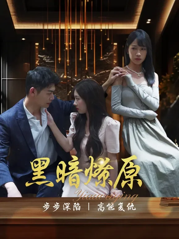 黑暗燎原短剧海报