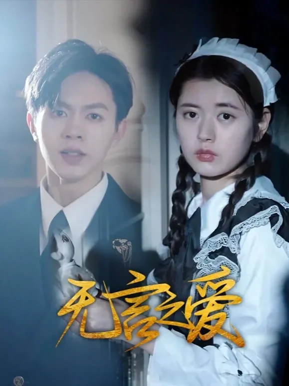 无言之爱短剧海报