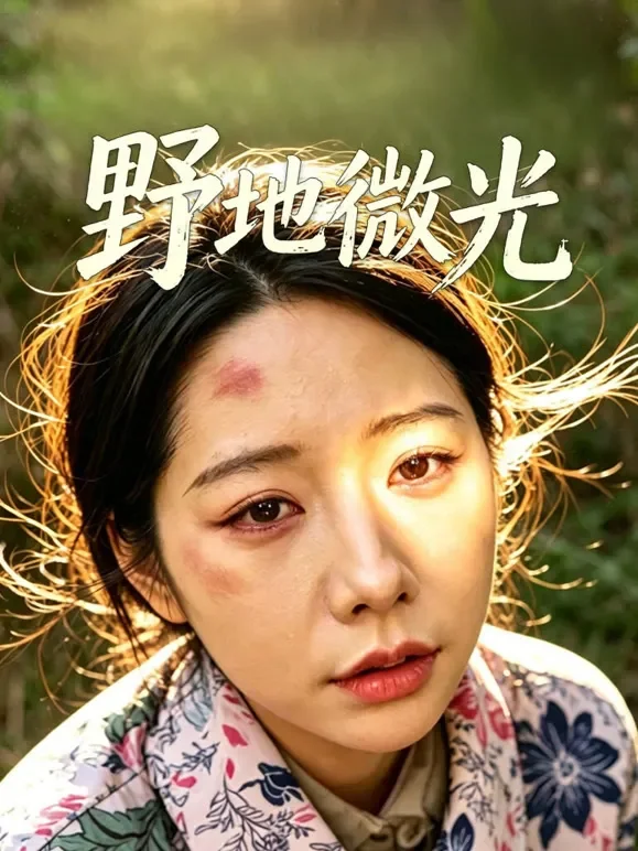 野地微光短剧海报