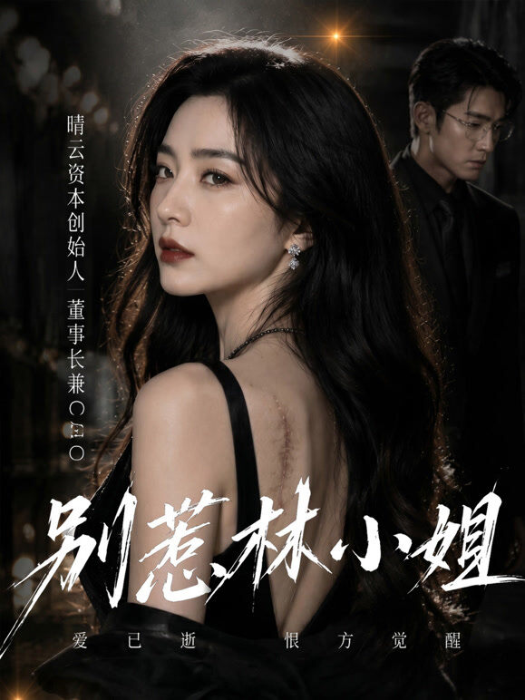 别惹林小姐