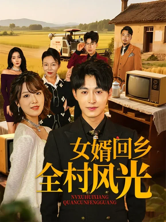 女婿回乡全村风光短剧海报