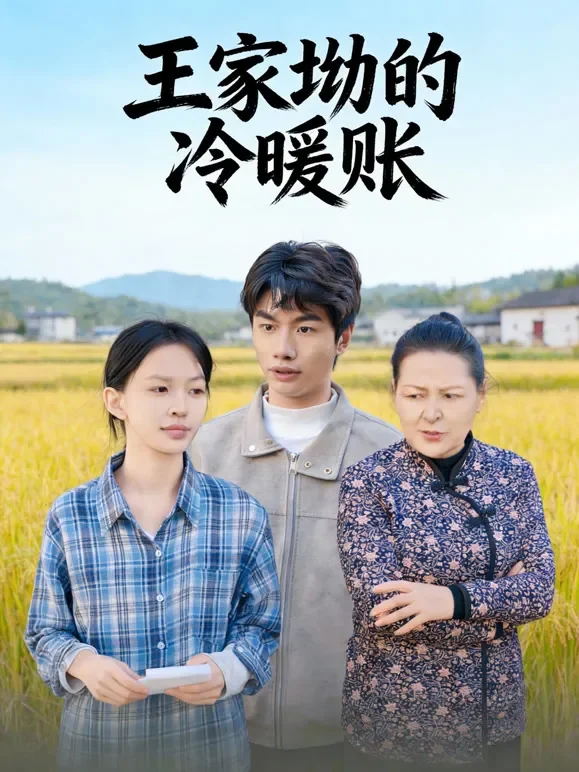 王家坳的冷暖账短剧海报
