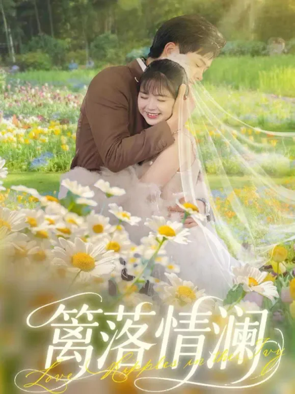 篱落情澜短剧海报