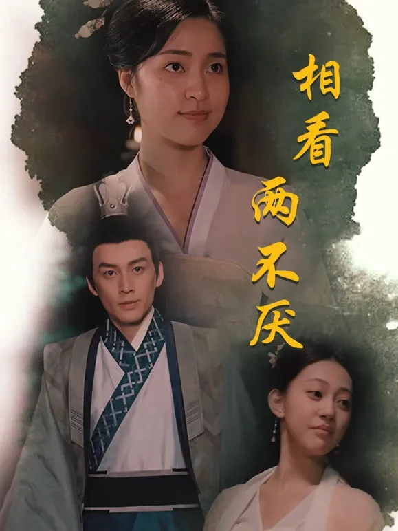 相看两不厌短剧海报