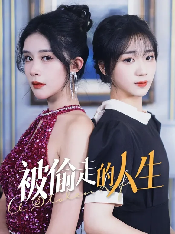 被偷走的人生短剧海报