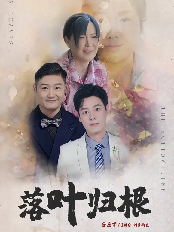 落叶归根短剧海报