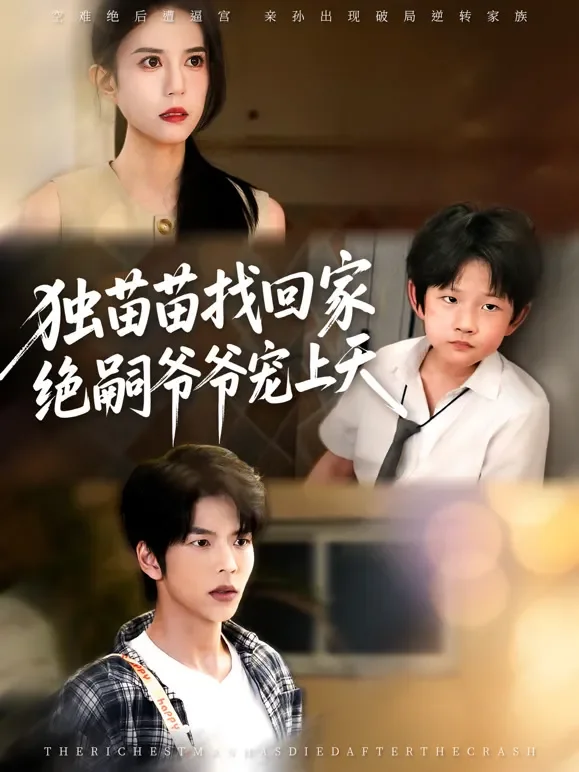 独苗苗找回家，绝嗣爷爷宠上天短剧海报