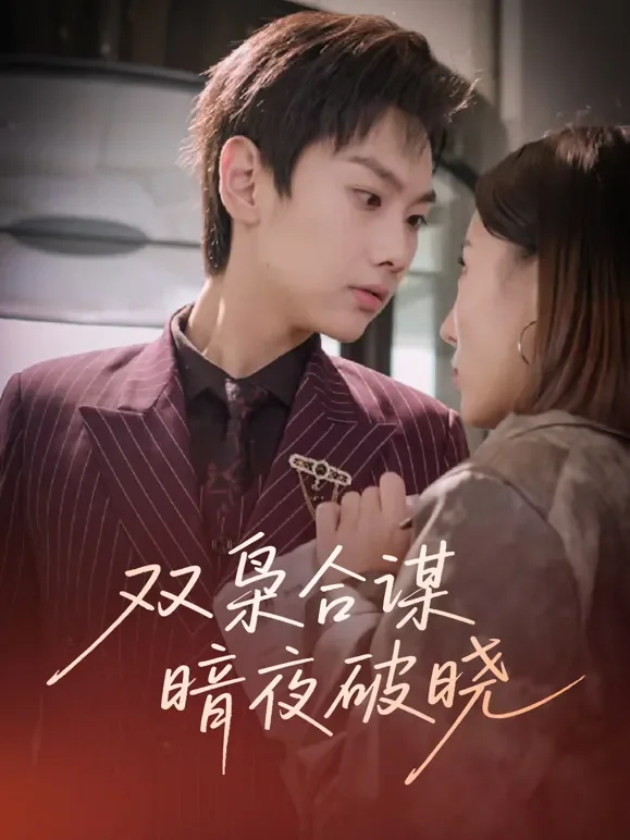 双枭合谋暗夜破晓短剧海报