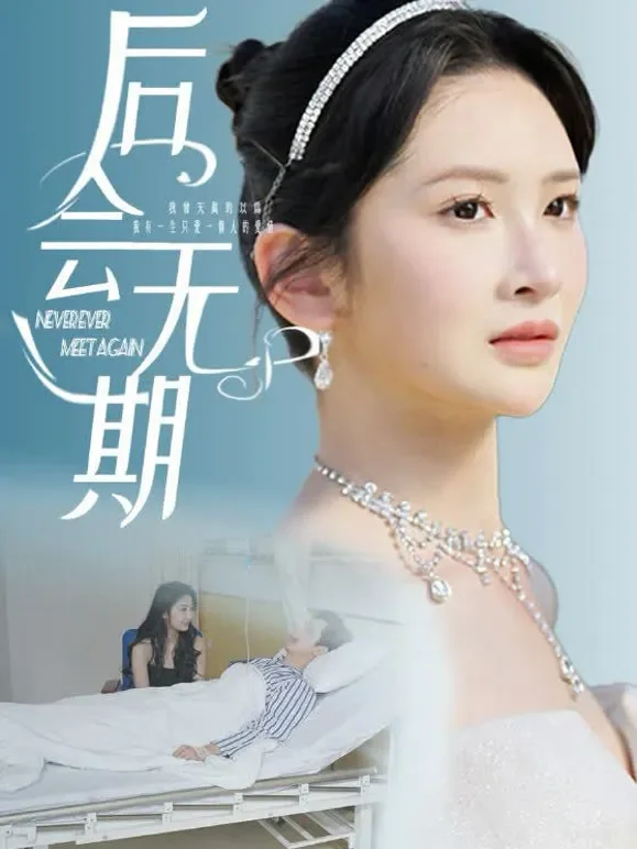 后会无期短剧海报