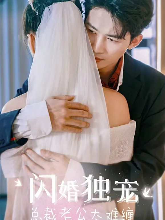 闪婚独宠：总裁老公太难缠短剧海报