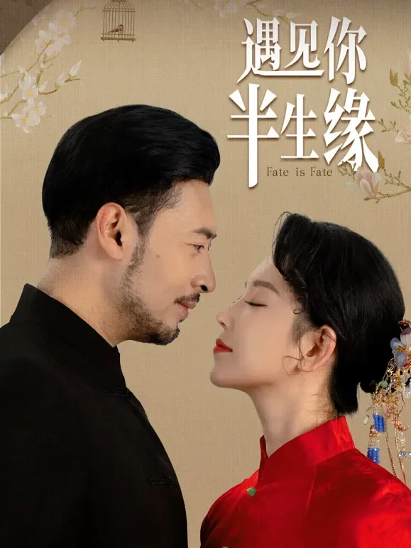 遇见你半生缘短剧海报