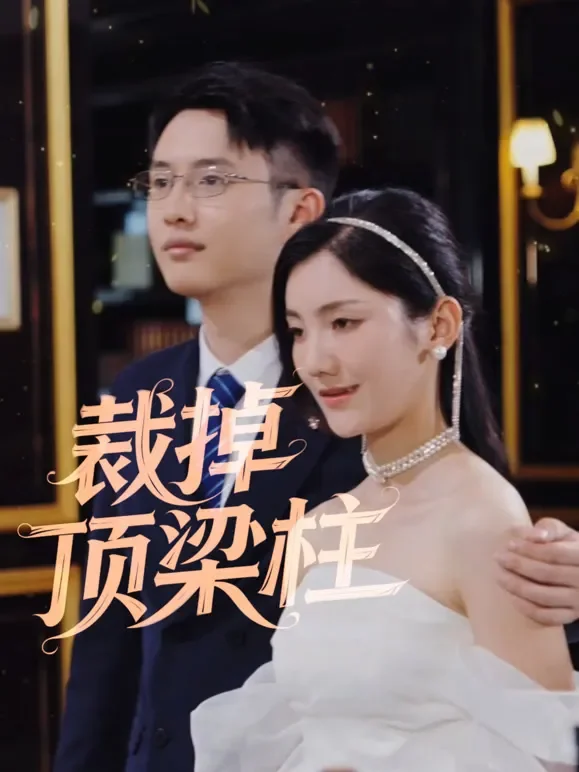 裁掉顶梁柱短剧海报
