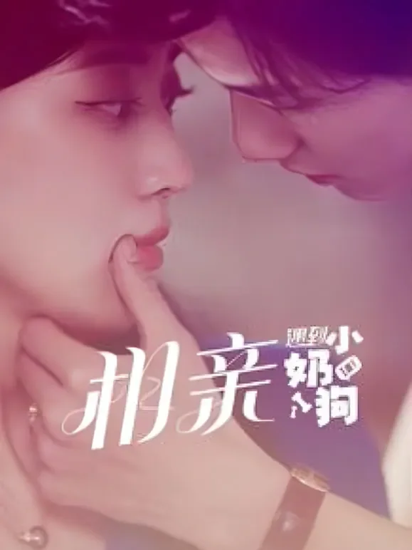 相亲遇到小奶狗短剧海报