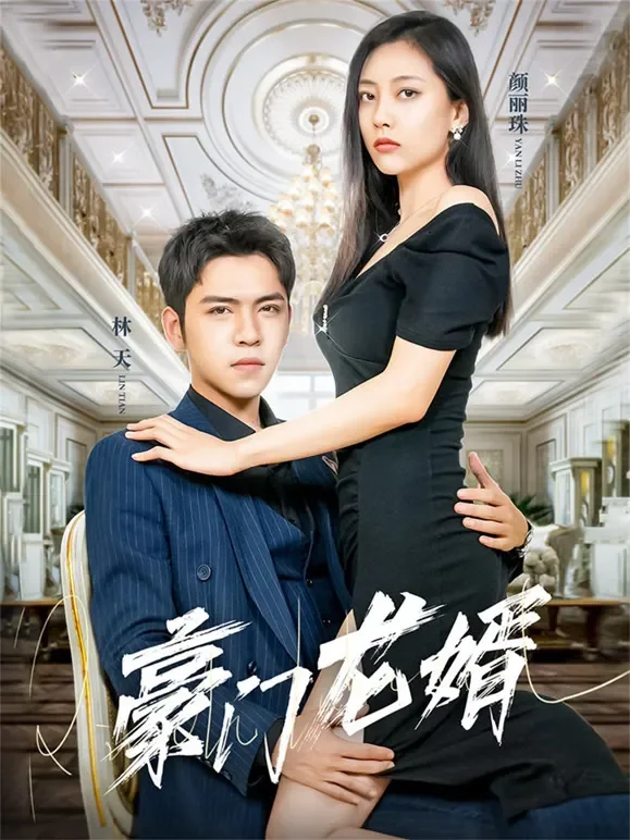 豪门龙婿短剧海报